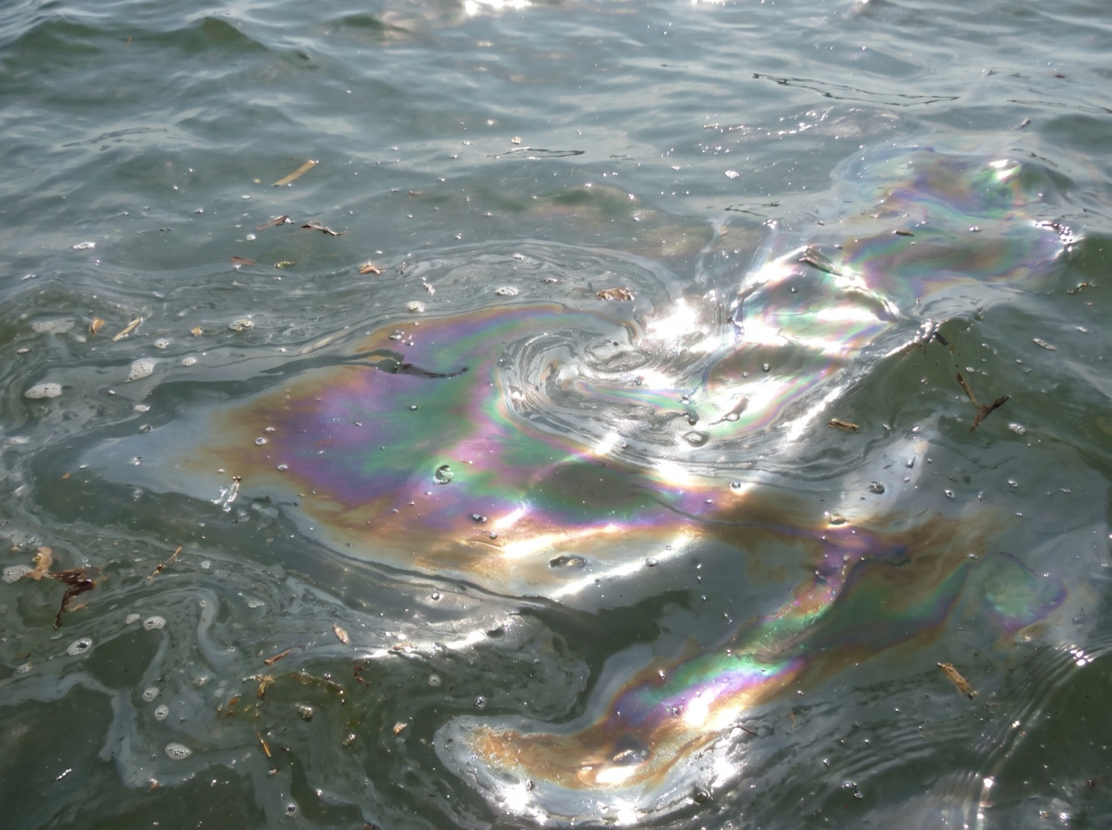 Oily rainbow sheen of sunscreen floating on sea water